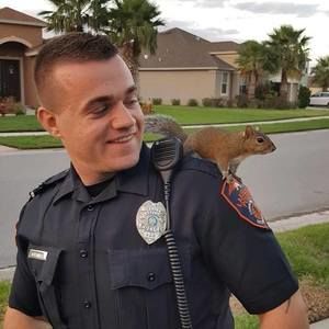 Meet your Posher, Justin